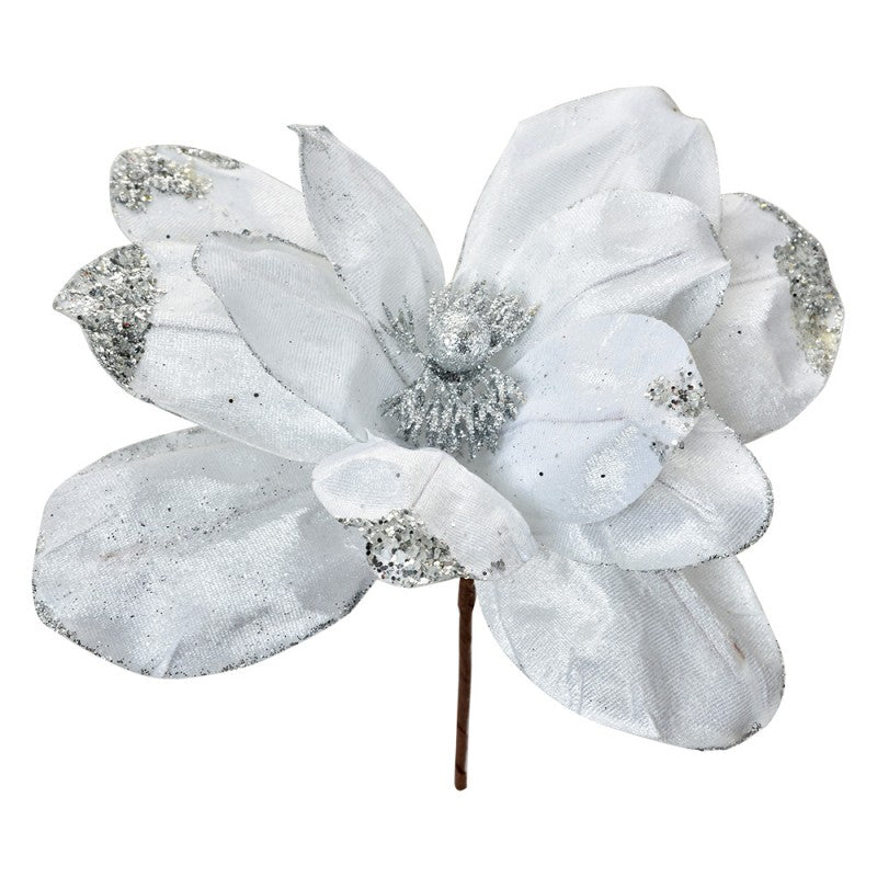 Božična roža 22x25 cm – bela